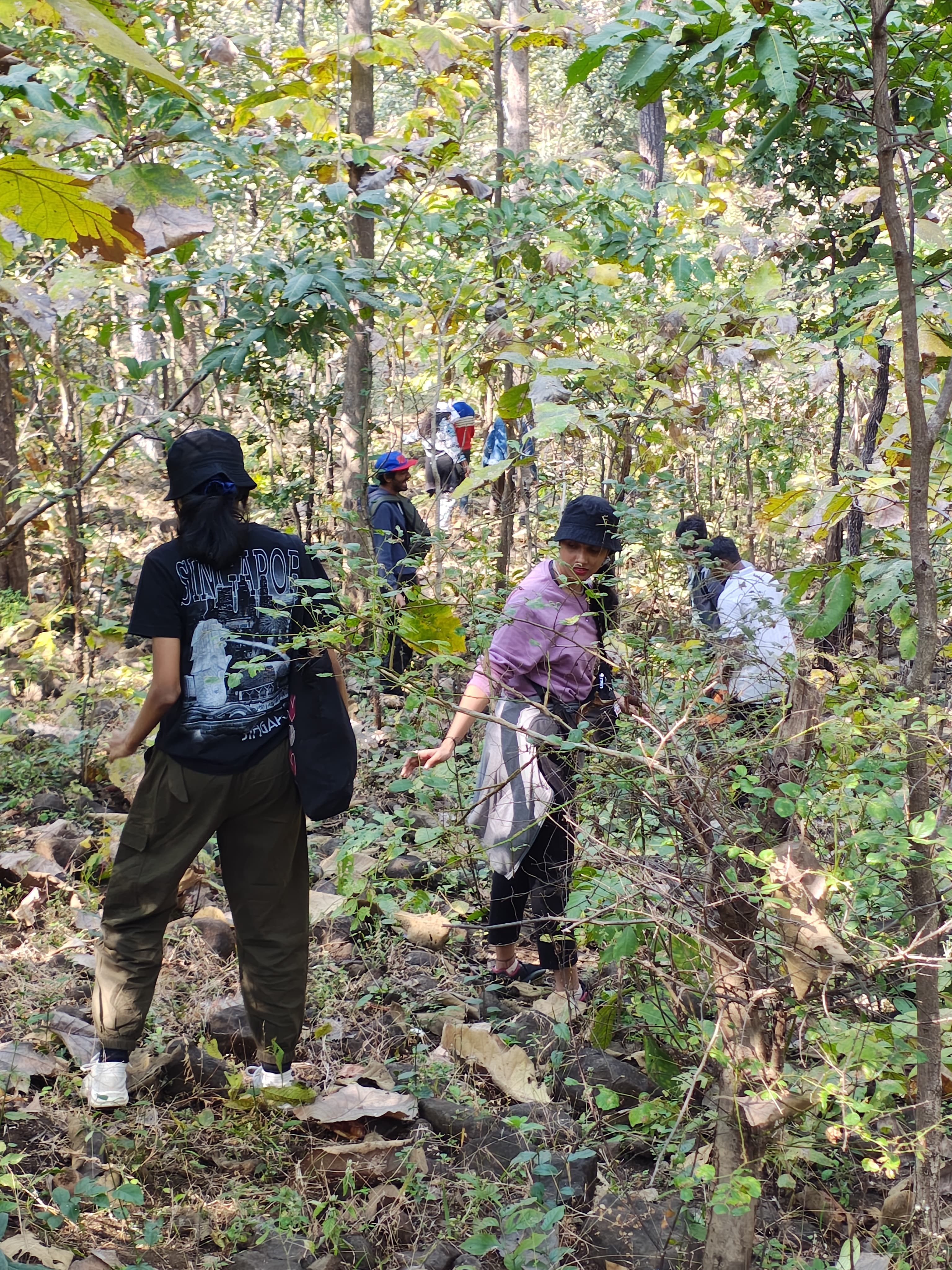 Vindhyan valley forest on the Ratapani hike near Madhuban