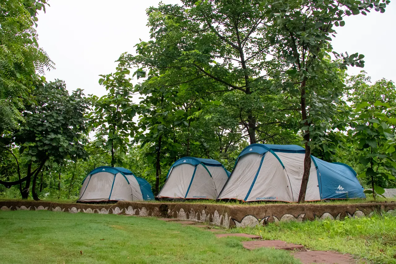 Camping tents on a grassy clearing at Madhuban Eco Retreat