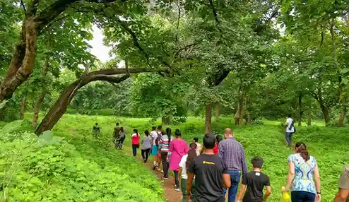 Kathotiya Trek Bhopal: The Hidden Jungle Adventure That Will Change You Forever