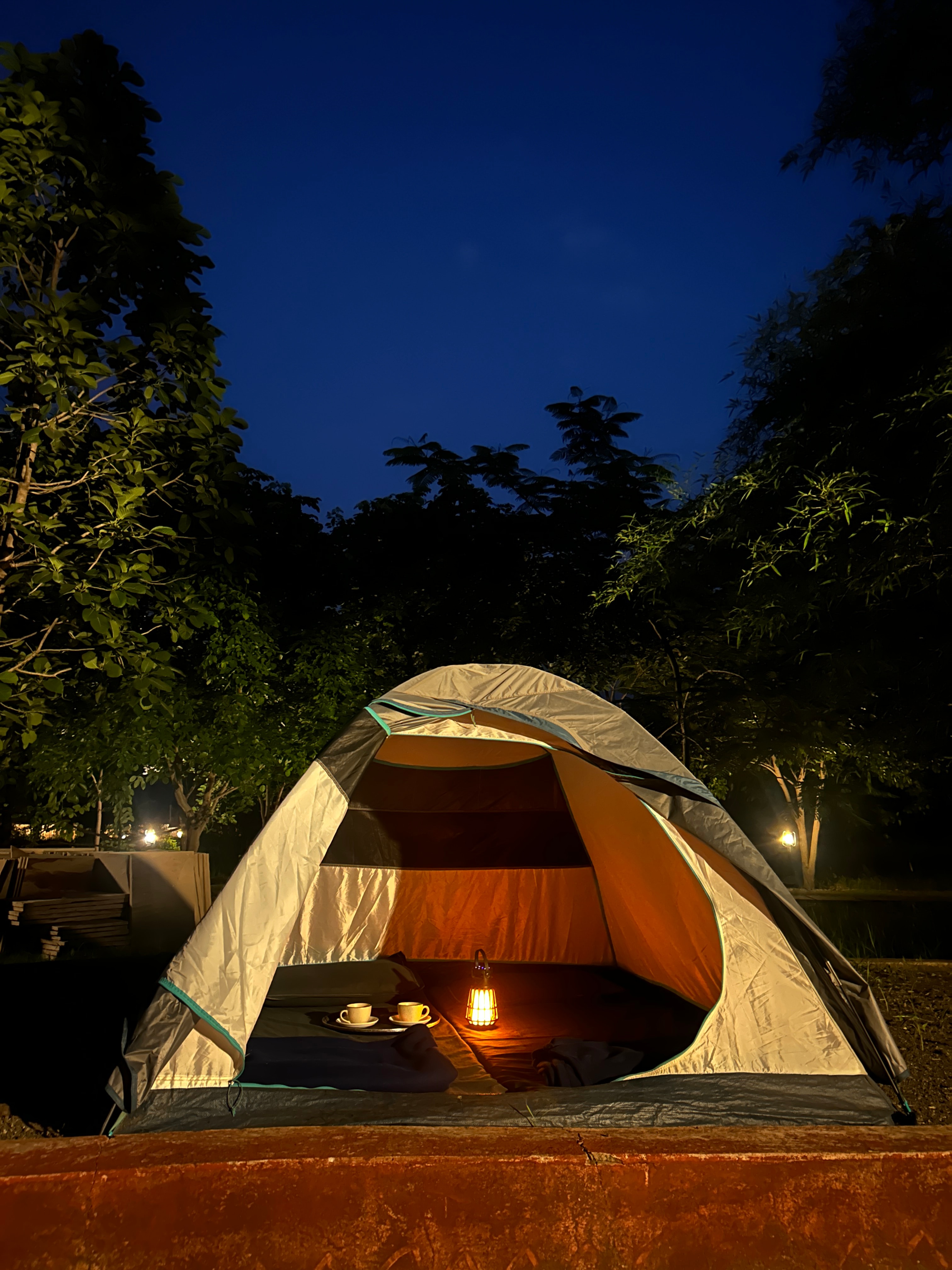 Camp at the edge of Ratapani Tiger Reserve under the forest canopy