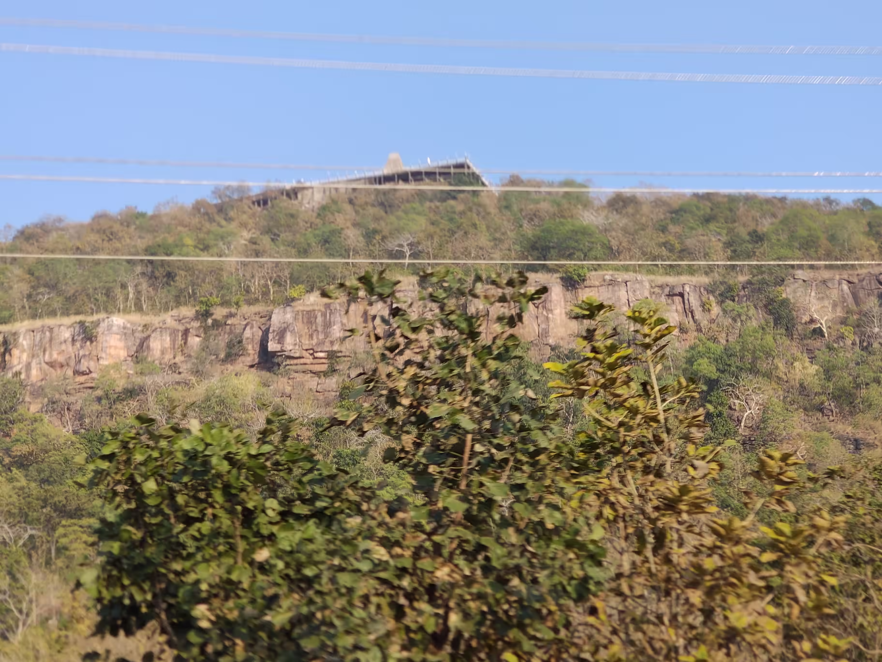 Teak forest trail in Ratapani Tiger Reserve near Madhuban Eco Retreat