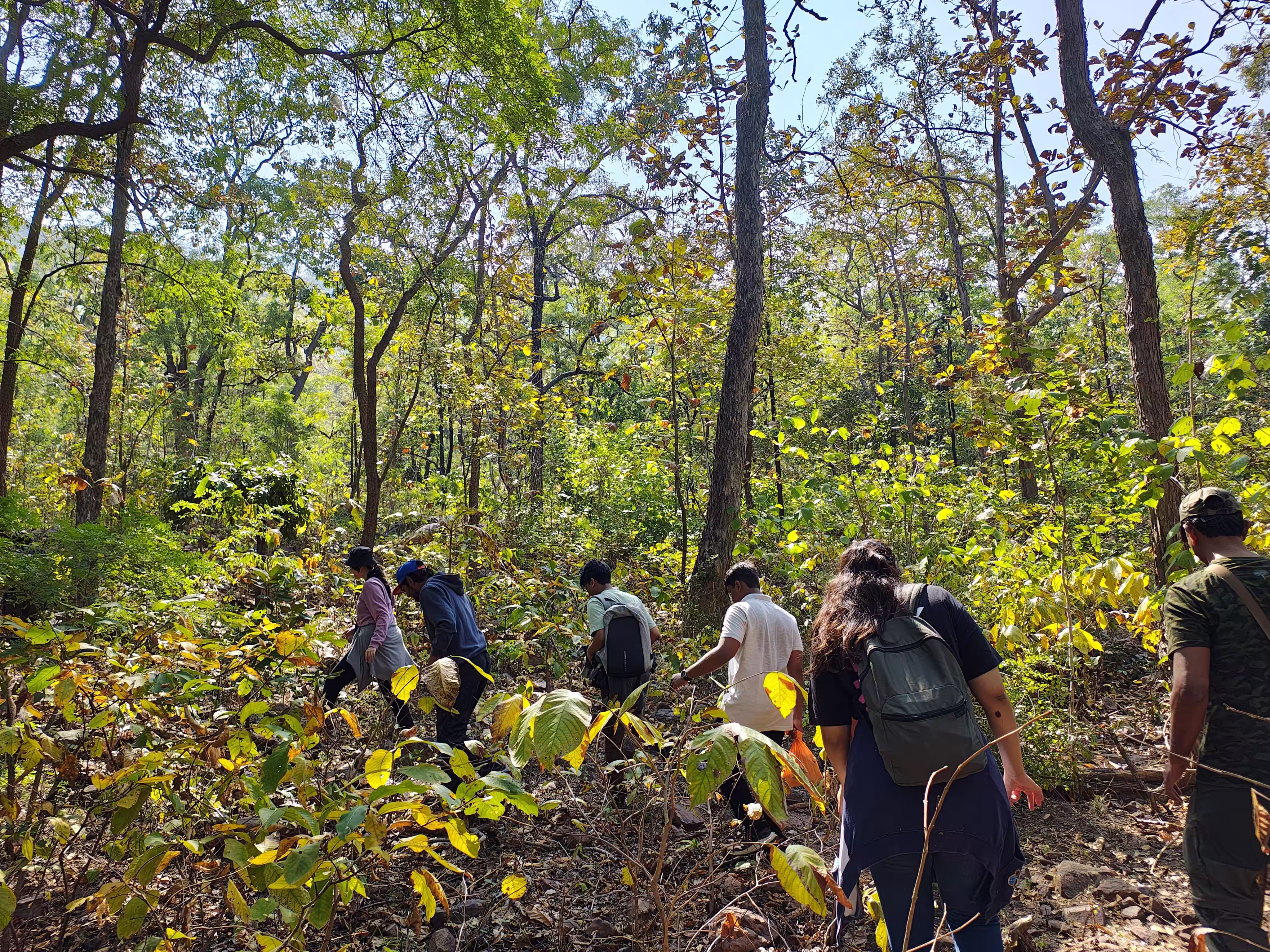 Guided forest hike near Ratapani Tiger Reserve with the Madhuban team