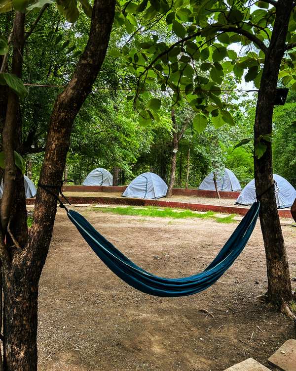 Camping at Madhuban Eco Retreat near Ratapani Tiger Reserve