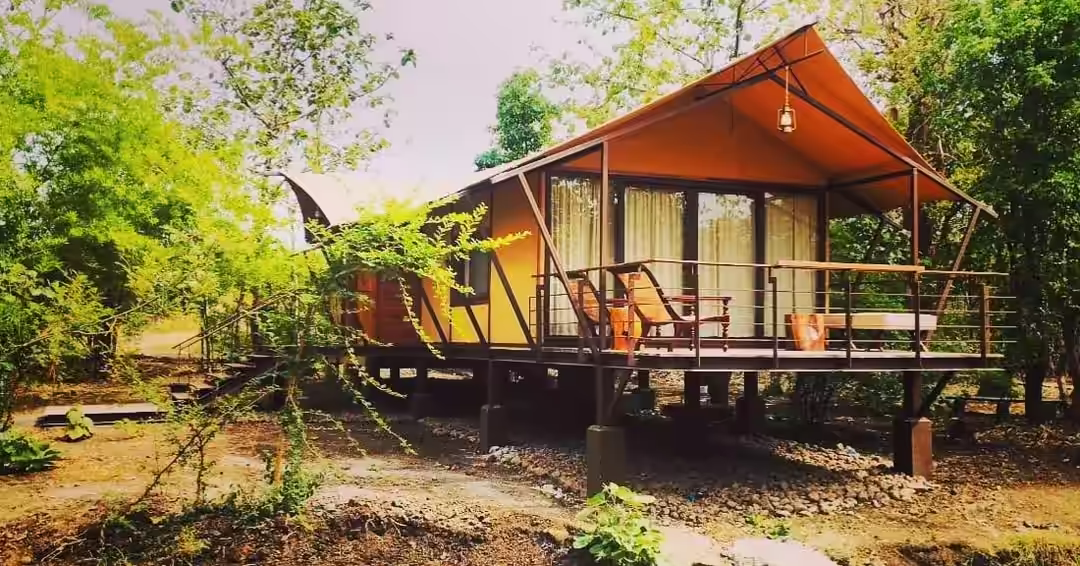 Safari Tent House in Ratapani – Eco-Luxury Jungle Stay Near Bhopal gallery 3