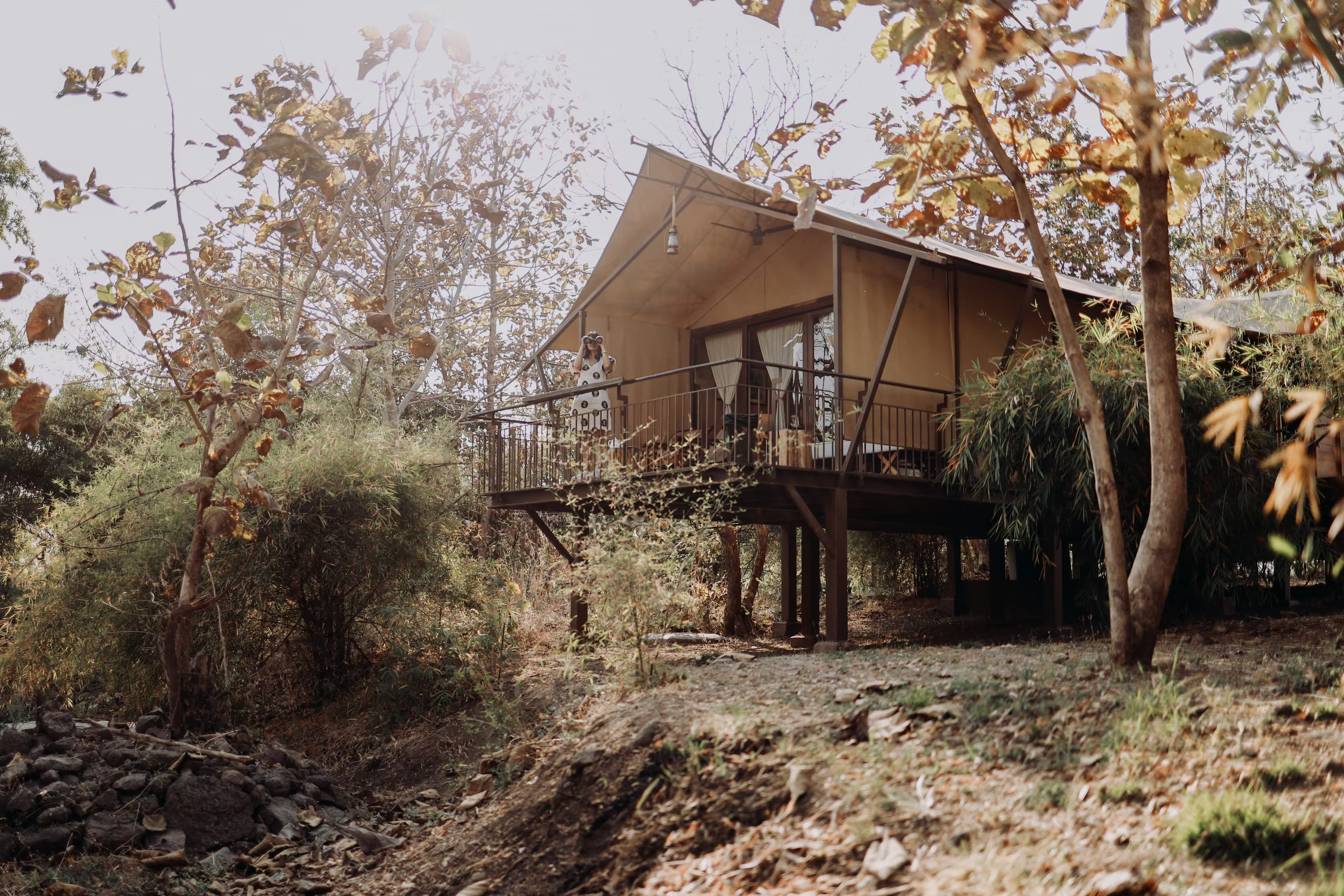 Safari Tent House in Ratapani – Eco-Luxury Jungle Stay Near Bhopal gallery 2